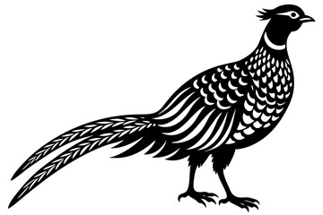 Pheasant Silhouette vector illustration 
