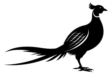 Pheasant Silhouette vector illustration 

