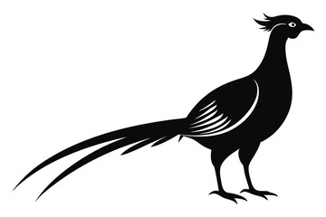 Pheasant Silhouette vector illustration 
