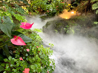 Stream river of water with fog, mist, and dry ice on the river, with anthurium flower, green...