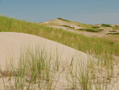 Cape Cod