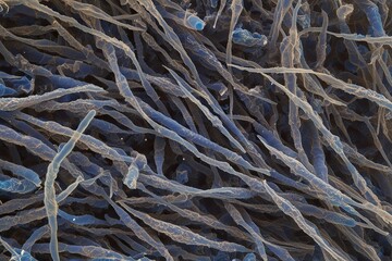 Chrysotile Asbestos Fiber High Resolution Imaging Structural Features and Health Risks