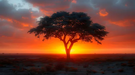 Tableau sur plexiglas  Silhouette of a Tree Against a Vibrant Sunset Landscape  © Klarisan