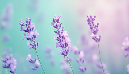 Obraz premium A single pastel color, such as mint green or lavender, providing a soothing and simple backdrop