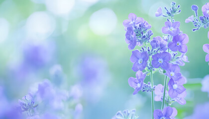 Obraz premium A single pastel color, such as mint green or lavender, providing a soothing and simple backdrop