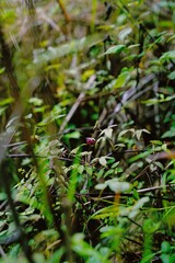                                 Processed with VSCO with ff5 preset