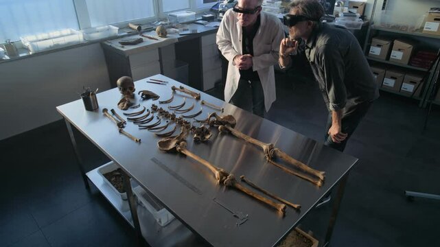 Modern archaeological lab: High angle of two archaeologists in VR headsets examining skeleton remains of ancient extinct human using augmented reality technology. Scientists doing historical research.