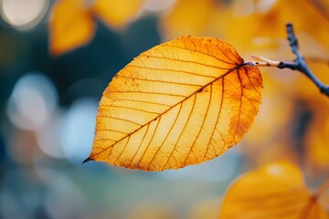 Obraz premium Close-up of a vibrant orange leaf hanging on a branch during autumn. Generative AI