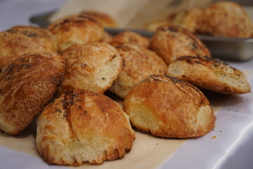 Baked tandoor samsa. Baking with different meats.
