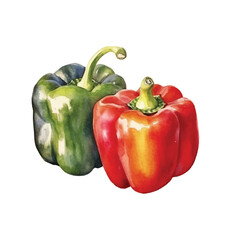 Watercolor of Bell pepper isolated white background