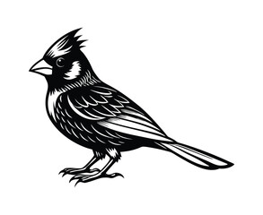 illustration of a bird on a branch