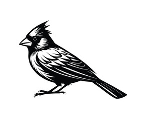 illustration of a bird on a branch