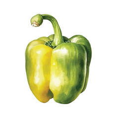 Watercolor of Bell pepper isolated white background