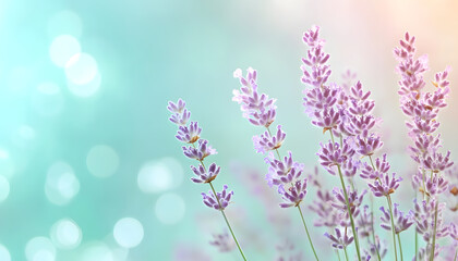 Obraz premium A single pastel color, such as mint green or lavender, providing a soothing and simple backdrop