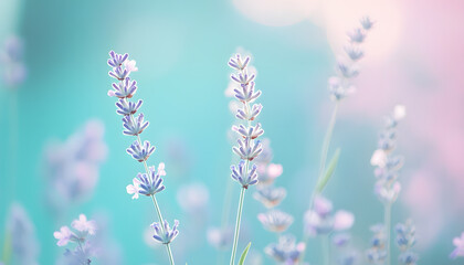 Obraz premium A single pastel color, such as mint green or lavender, providing a soothing and simple backdrop