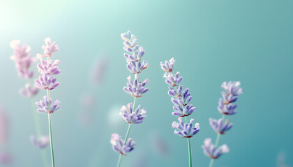 Obraz premium A single pastel color, such as mint green or lavender, providing a soothing and simple backdrop