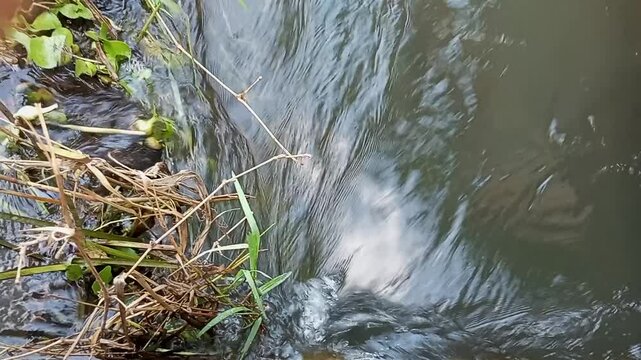 Flowing currents creating a beautiful estuary