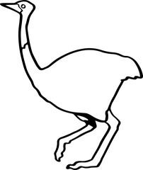 cute cartoon ostrich character drawing.