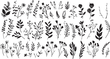 
Big set of decorative elements and vector graphics in a hand drawn floral ornament collection with line on a white background