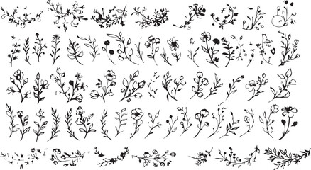 
Big set of decorative elements and vector graphics in a hand drawn floral ornament collection with line on a white background
