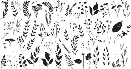 
Big set of decorative elements and vector graphics in a hand drawn floral ornament collection with line on a white background