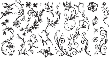 
Big set of decorative elements and vector graphics in a hand drawn floral ornament collection with line on a white background