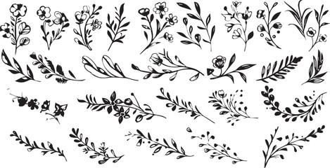 
Big set of decorative elements and vector graphics in a hand drawn floral ornament collection with line on a white background