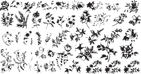 
Big set of decorative elements and vector graphics in a hand drawn floral ornament collection with line on a white background