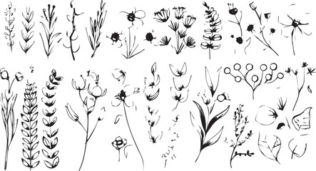 
Big set of decorative elements and vector graphics in a hand drawn floral ornament collection with line on a white background