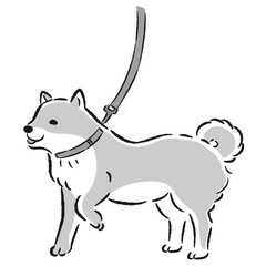 散歩中の柴犬の手描きイラスト
