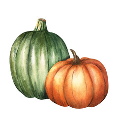 Composition with classic autumn vegetables pumpkins. Different types green and orange color. Hand drawn watercolor illustration. Isolated on white. For clip art cards invitation label package