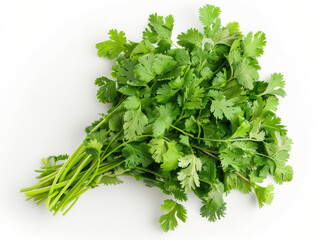 Obraz premium fresh coriander isolated on white background