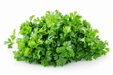 Obraz premium fresh parsley isolated on white background