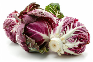 Fototapeta premium radicchio isolated on white background