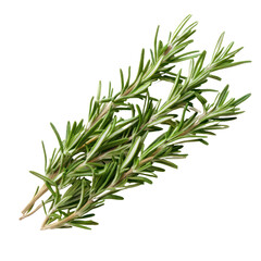 Fototapeta premium Rosemary object isolated on transparent png. 