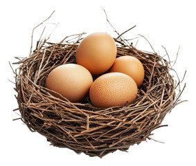 Nest with four speckled eggs in a natural habitat, cut out - stock png.