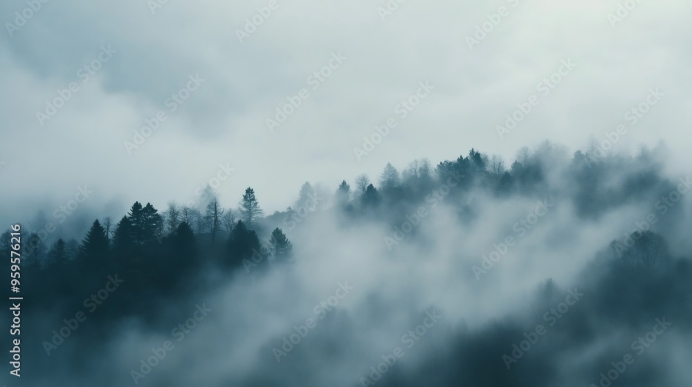 Poster a foggy morning in a forest with trees barely visible through the mist.