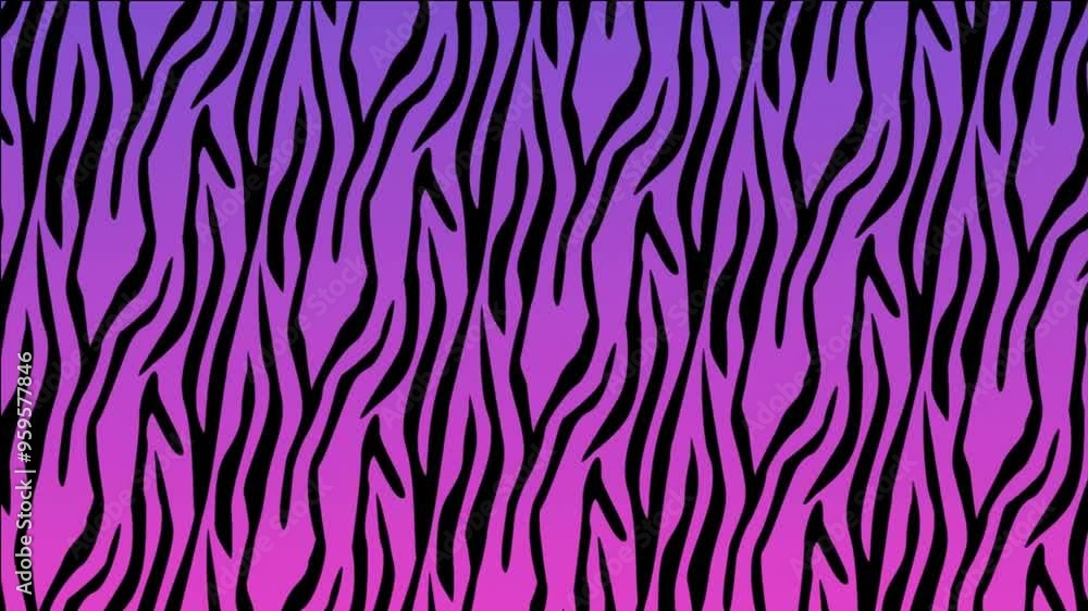 Poster START text animation over zebra pattern background in purple and pink gradient
