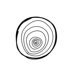 Tree trunk cross section