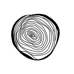 Tree trunk cross section