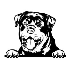 Rottweiler | Peeking Rottweiler | Peeking Animal | Dog Breed | Pet Animal | Dog | Peek a Boo Rottweiler | Domestic Animal | Original Illustration | Vector and Clipart | Cutfile and Stencil