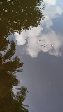 The sky tree is playing in the wobbly water