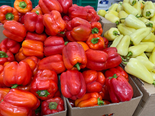 Red and yellow bell peppers on a market stall. Close up.