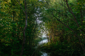 Obraz premium A narrow river channel.