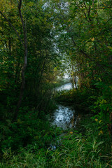 A narrow river channel.