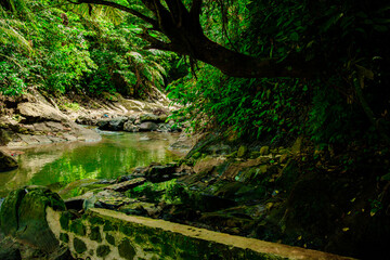 a refreshing spring for those who see it