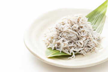 白背景に釜揚げしらす