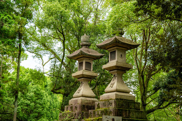 Nara Park with pond and deers, in Nara, Japan