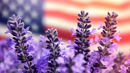 Obraz premium Lavender flowers in front of an American flag background.