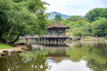 Nara Park with pond and deers, in Nara, Japan